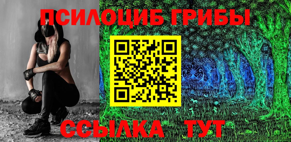 Череповец  Галлюциногенные грибы Psilocybine cubensis  Псилоцибиновые грибы Cubensis  где можно купить наркотик  Вход с VPN 